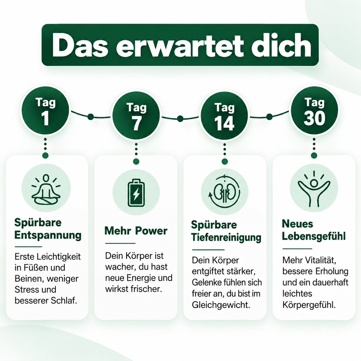 Purus Detox Fußbad – Sanfte Entgiftung